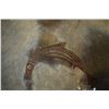 Image 16 : ANASAZI PICTURE BOWL