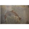 Image 7 : ANASAZI PICTURE BOWL