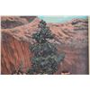 Image 10 : NAVAJO PAINTING (ROBERT BECENTI)
