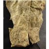 Image 7 : PLAINS CRADLE COVER