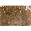 Image 5 : APACHE BURDEN BASKET
