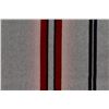 Image 15 : PENDLETON BLANKET