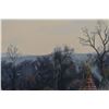 Image 6 : WESTERN PAINTING (PAUL SURBER)