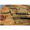 Image 7 : HOPI KACHINA (TIMOTHY P. TALAWEPI)