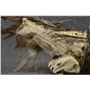 Image 11 : ZUNI ANTLER FETISH (TEDDY WEAHKEE)