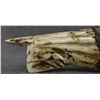 Image 8 : ZUNI ANTLER FETISH (TEDDY WEAHKEE)