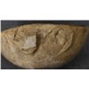 Image 9 : ANASAZI POTTERY SCOOP