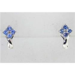 14K White Gold Diamond, Tanzanite Earring