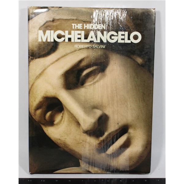 THE HIDDEN MICHELANGELO ROBERTO SALVINI