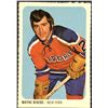 Image 1 : 1973-74 QUAKER OATS WHA WAYNE RIVERS