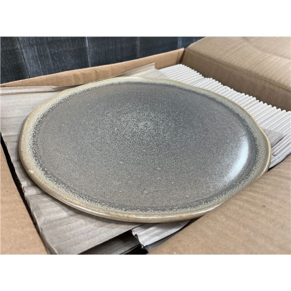 12.5" Granite Flat Plate, Dudson 4EVG2910HR - Lot of 6