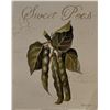 Image 1 : Vintage Sweet Peas Garden Art Print