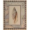 Image 1 : Vintage Lighthouse Seashell Art Print