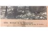 Image 10 : 19th Century George W. Griffith Stereograph Collection
