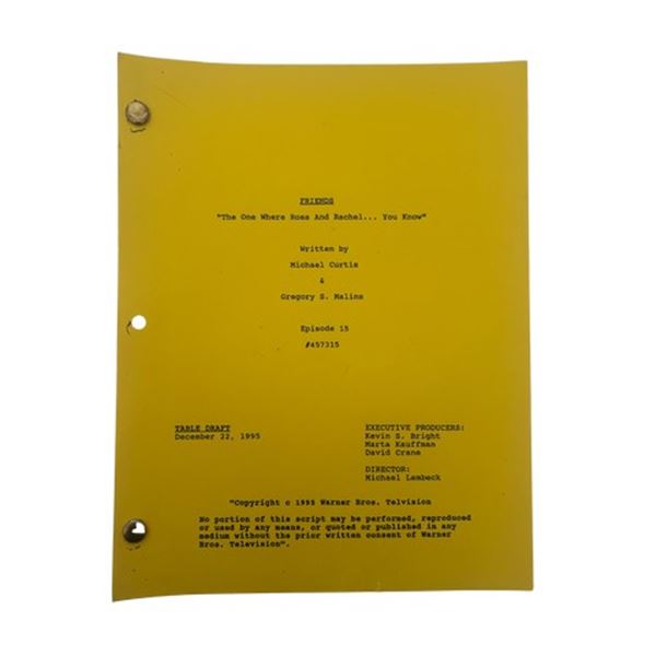 Friends - "The One Where Ross and Rachel...You Know" script