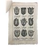 Image 3 : Tulip Fever Tulip Catalog Movie Props