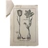 Image 4 : Tulip Fever Tulip Catalog Movie Props
