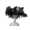 Image 1 : Vintage Showgirl Headdress