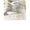 Image 3 : Titanic Rose (Kate Winslet) Iconic Sketch Movie Props