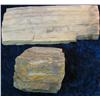 Image 1 : 1476. (2) Specimens of Petrified Wood.