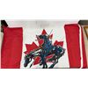 Image 5 : First Nations Canadian Flag, 2 Métis Sashes
