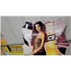 Image 2 : Budweiser Ice Draft Cold Filtered Beer Tin Advertising Sign with Woman, 1990s 33 x 20"