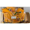 Image 1 : 25 Yellow Baseball Jersey's - Assorted Sizes