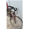 Image 4 : Precision Cruiser Bicycle with Shimano SIS Rear Derailleur and Whitewall Tires