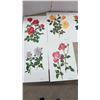 Image 2 : 21 Days Vintage Prinnts of Botanical Roses Great for Framing, Variety Art Prints Including Sterling