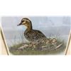 Image 5 : Joyce Bridgett 1988 "Green-Winged Teal" Limited Edition Print, 2520/2950, 16 x 20"