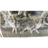 Image 4 : J. Bridgett Signed 1988 Limited Edition Coyote Print, 989/2950, 16 x 20"