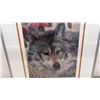 Image 4 : J. Filipchuk 1989 Signed Limited Edition Wolf Print, 906/950, 20 x 17"