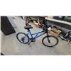 Image 1 : Mongoose Stratus Mountain Bike, Blue and Black,, Multi-Speed19"