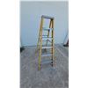 Image 1 : Reynolds 6' Fiberglass Step Ladder with Aluminum Steps