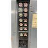 Image 4 : Amalgamated 100 Amp Electrical Fuse Panel Box, 115 Volts, AC230