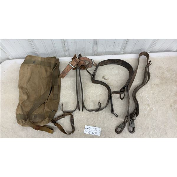 Antique Staco Size 40 Number WEC 34 Pole Climbing Belts and Spurs
