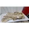 Image 1 : Starr and Wight Furriers Natural Fur Coat