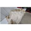Image 6 : Starr and Wight Furriers Natural Fur Coat