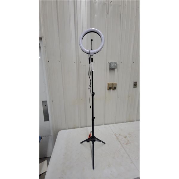 LED Ring Light with Adjustable Tripod Stand and Flexible Gooseneck Phone Mount