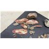 Image 2 : Collection of Agate, Chalcedony, and Abalone Shell Specimens