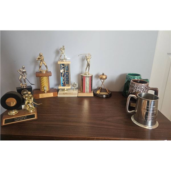 Sports Trophies and Commemorative Mugs