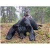 Image 1 : Freisen's Outfitting - Black Bear Hunt