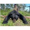 Image 2 : Freisen's Outfitting - Black Bear Hunt