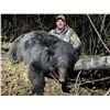 Image 4 : Freisen's Outfitting - Black Bear Hunt
