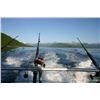 Image 4 : Ugak Bay Kodiak Alaska Fishing Trip for 2