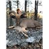 Image 3 : Record Breaking Ranch - Aoudad Hunt in Missouri