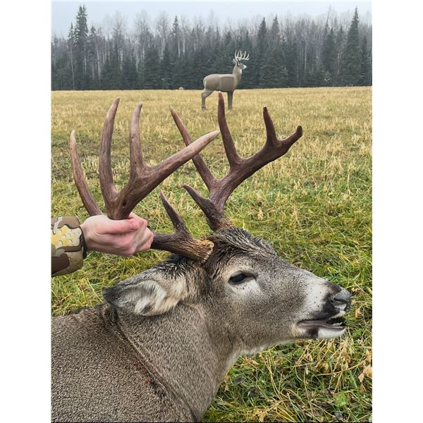 Baker's Adrenaline Outfitters Whitetail Deer