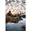 Image 4 : Baker's Adrenaline Outfitters Whitetail Deer