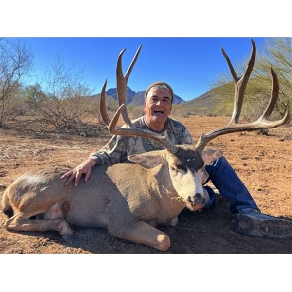 Desert Mule Deer Hunt in Sonora Desert Mexico - Rincon Outfitters