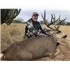 Image 4 : Desert Mule Deer Hunt in Sonora Desert Mexico - Rincon Outfitters